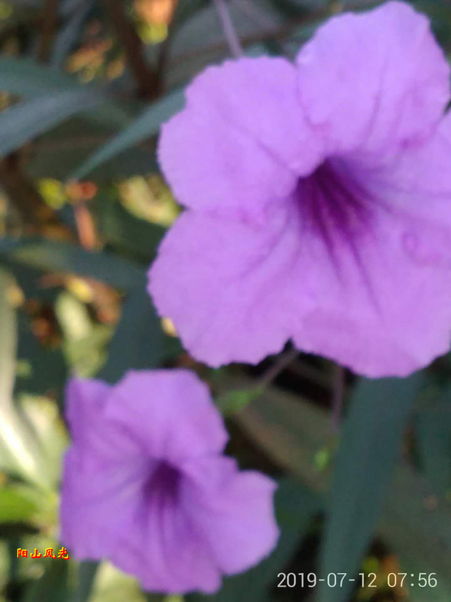 ���ض���