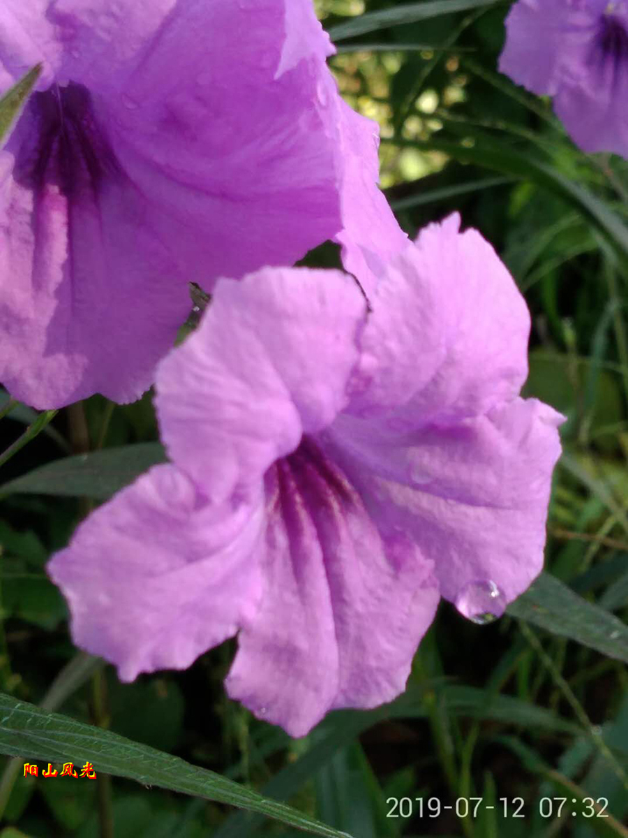 ���ض���